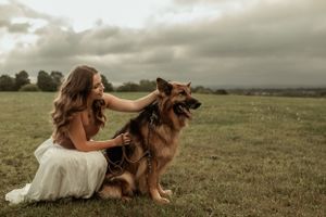 Candid moment captured with a German Shepherd dog in a grassy field at sunset.