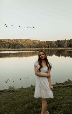 Serene lake scene with flying birds and reflection of autumn trees at sunset.