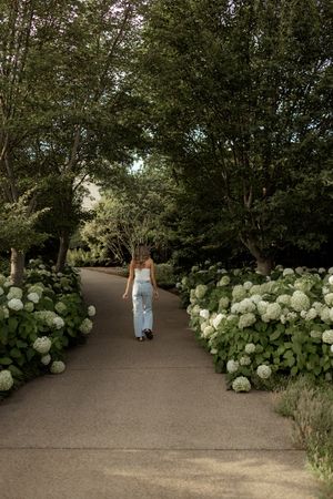 A person in a blue dress walks along a scenic garden path lined with blooming white hydrangea bushes on a summer day.