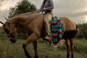 A brown horse with a rider and colorful striped blanket stands in a grassy field at dusk.