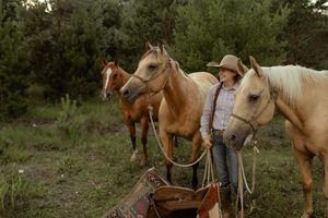 A line of brown and beige horses stand together at sunset in a grassy field during golden hour.