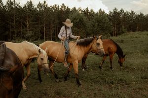 A figure in cowboy attire rides horseback while leading two additional horses through a pine-forested hillside at dusk.