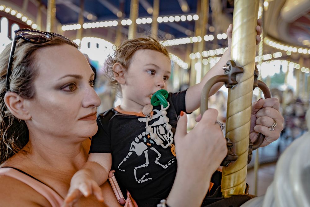A carousel ride at a theme park with traditional painted horses and decorative lights.