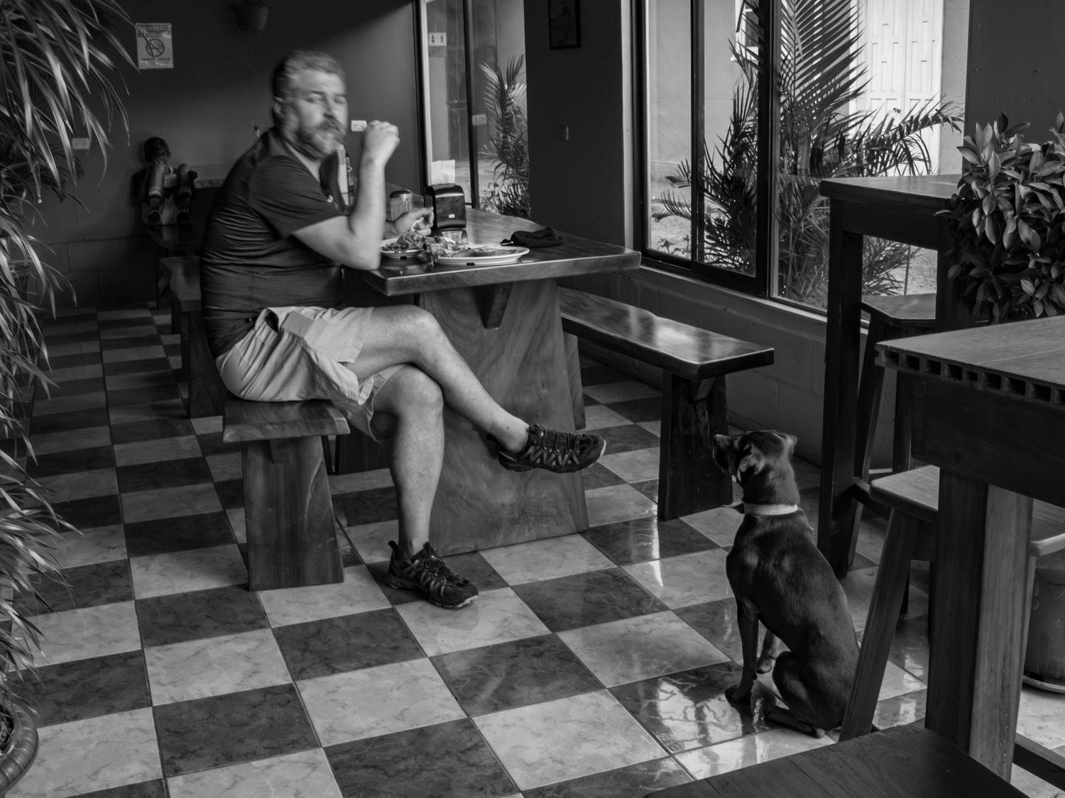 Black and white photo of a cafe scene with a dog sitting on checkered floor.