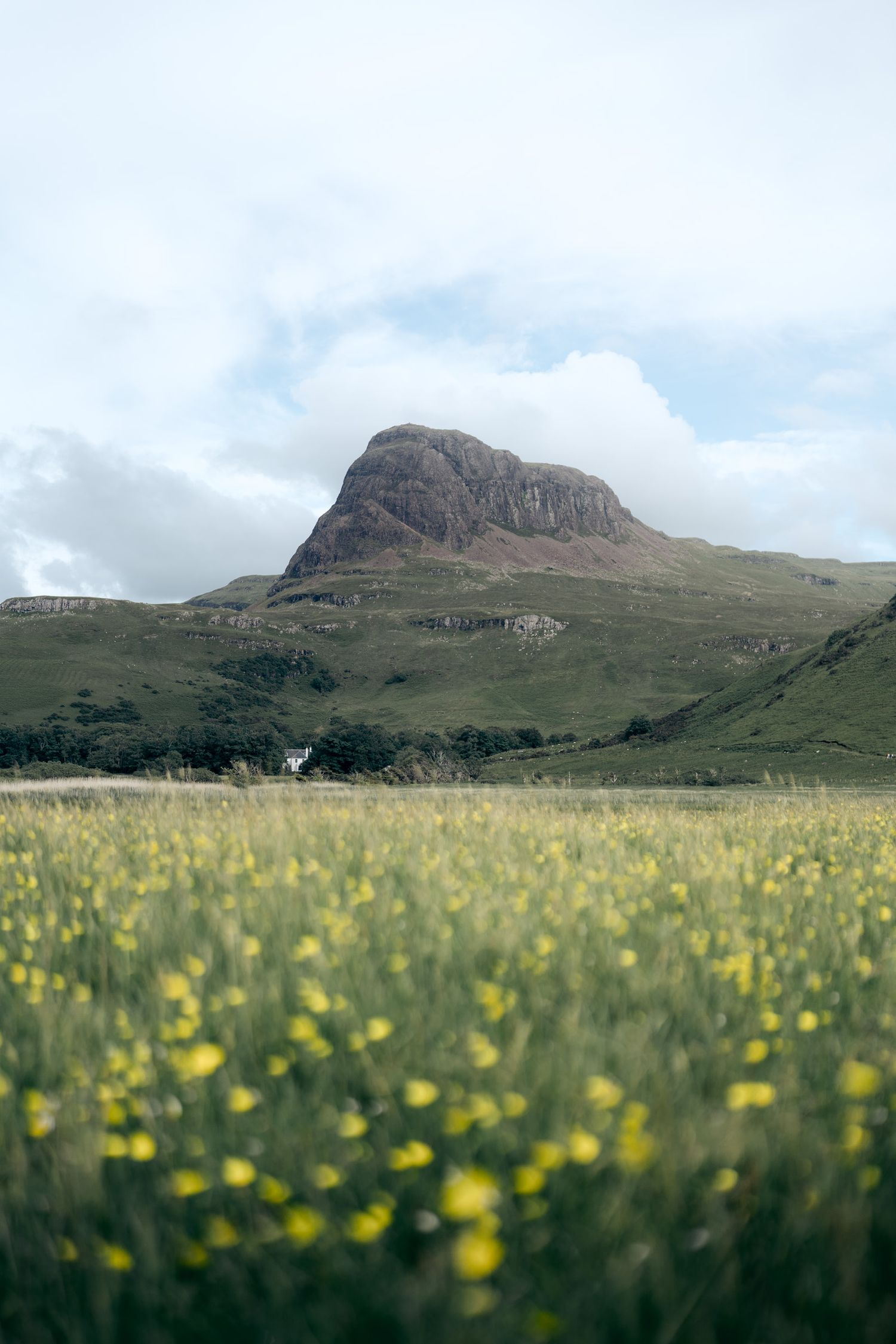 plaine fleurie de talisker avec les montagnes écossaises en arrière plan