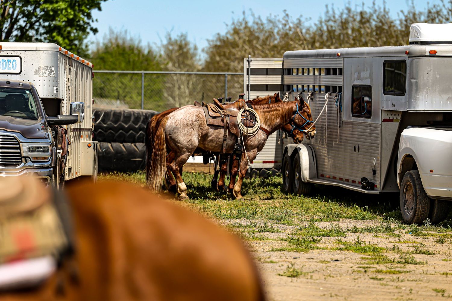 Horse trailers and trucks parked at an outdoor equestrian event.