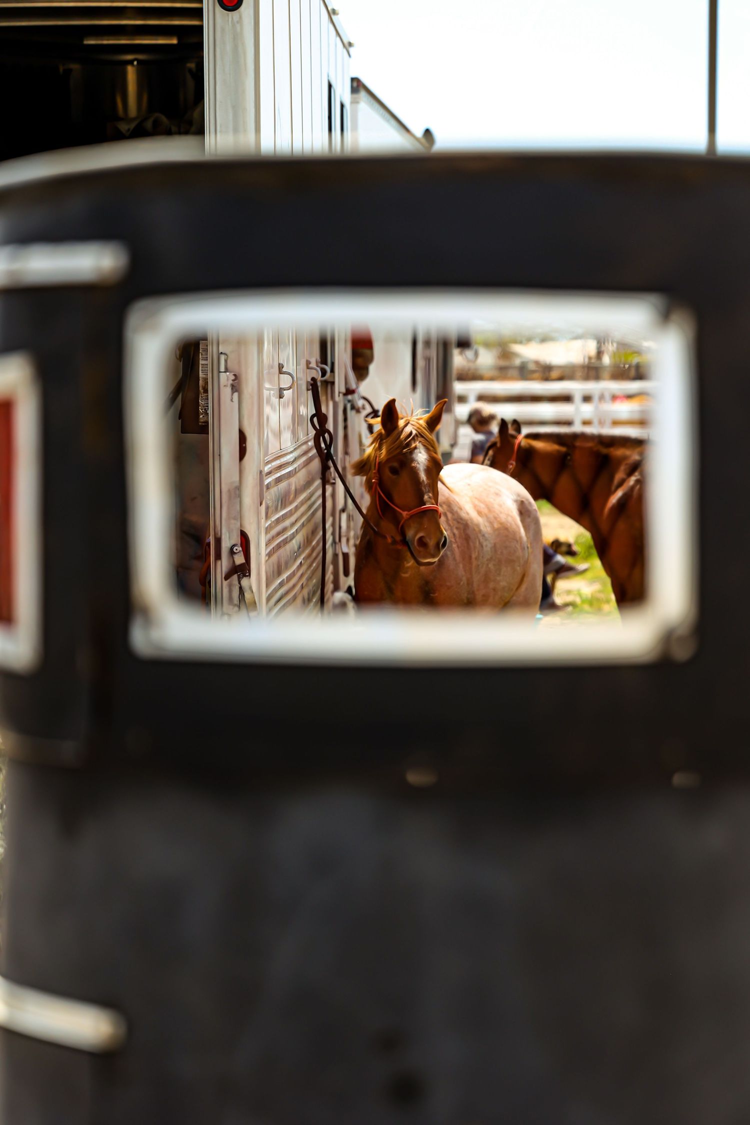 Horse visible through side mirror of a vehicle at a rodeo grounds.