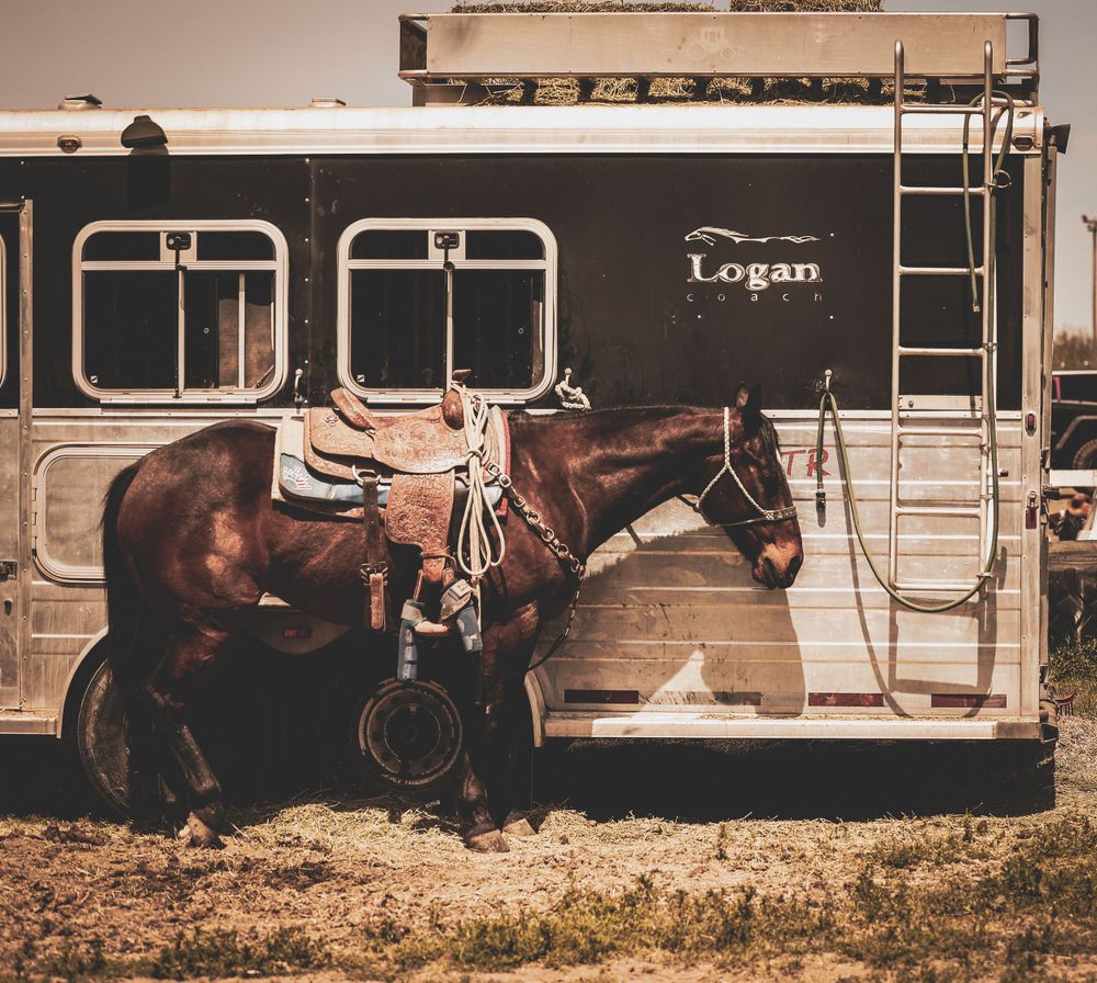 A brown horse stands saddled next to a large horse trailer labeled 'Logan'.