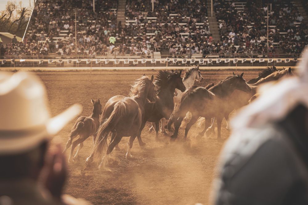 Cowboys and horses kicking up dust in a crowded rodeo arena.