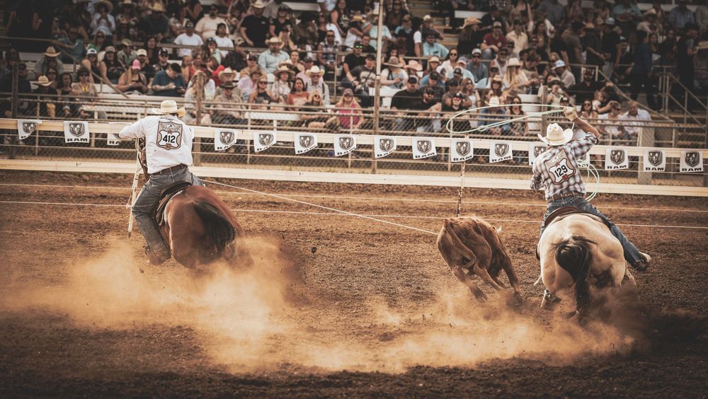 Cowboys competing in rodeo arena with dust flying during calf roping event.