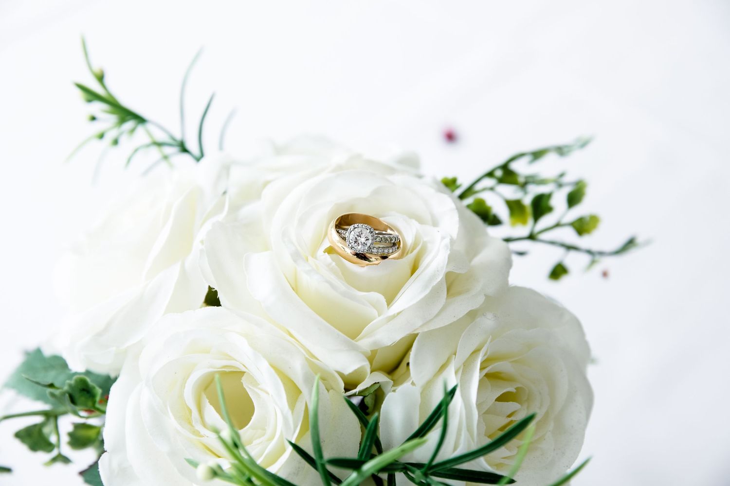 Dawn Talia Photography - Wedding/Events Photography - Port Chester, NY