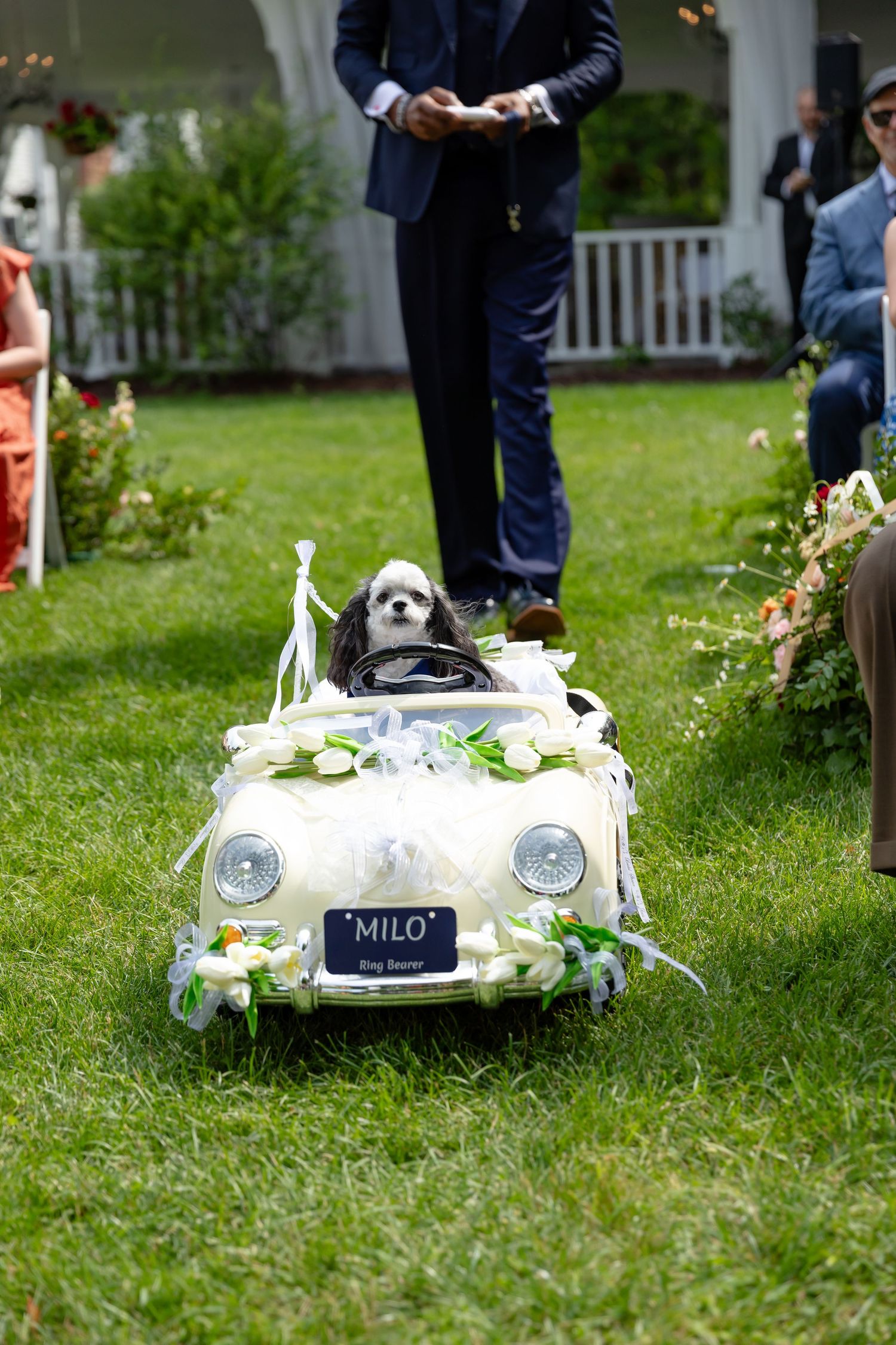 Dawn Talia Photography - Wedding/Events Photography - Port Chester, NY