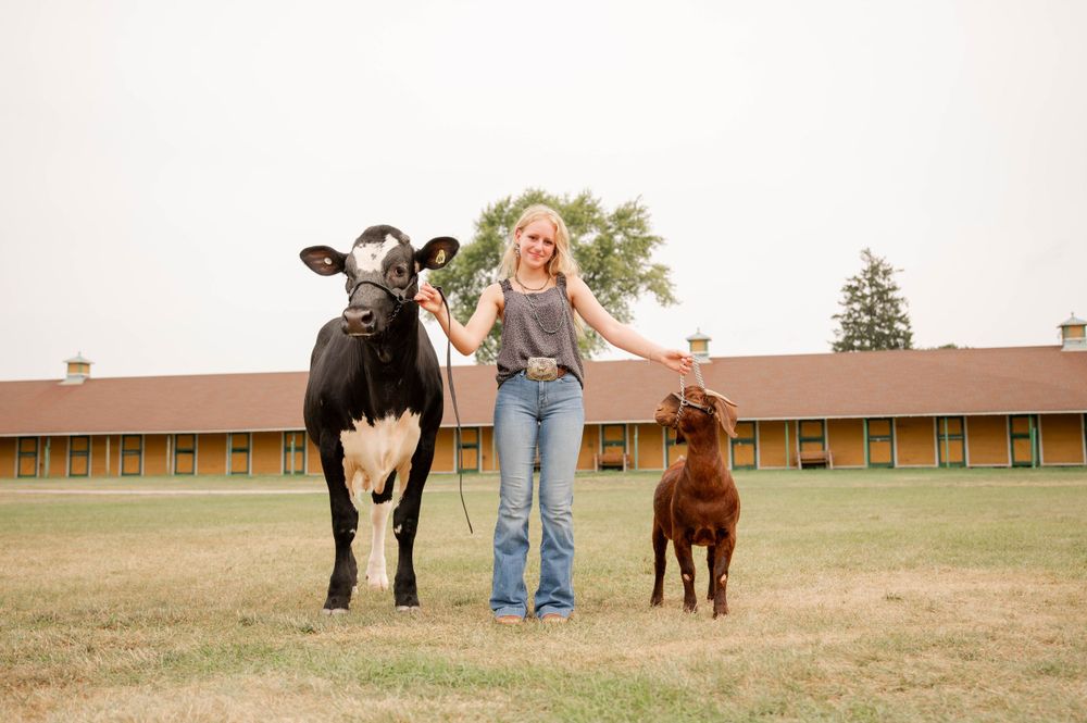 Person standing between a black cow and brown calf in a grassy field.