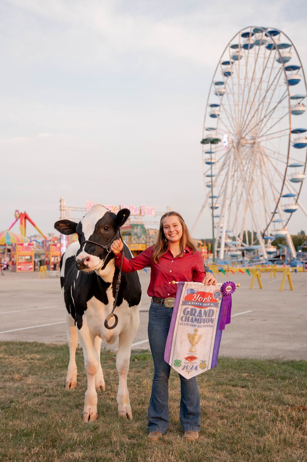 Prize-winning dairy cow at county fair with ferris wheel in background.