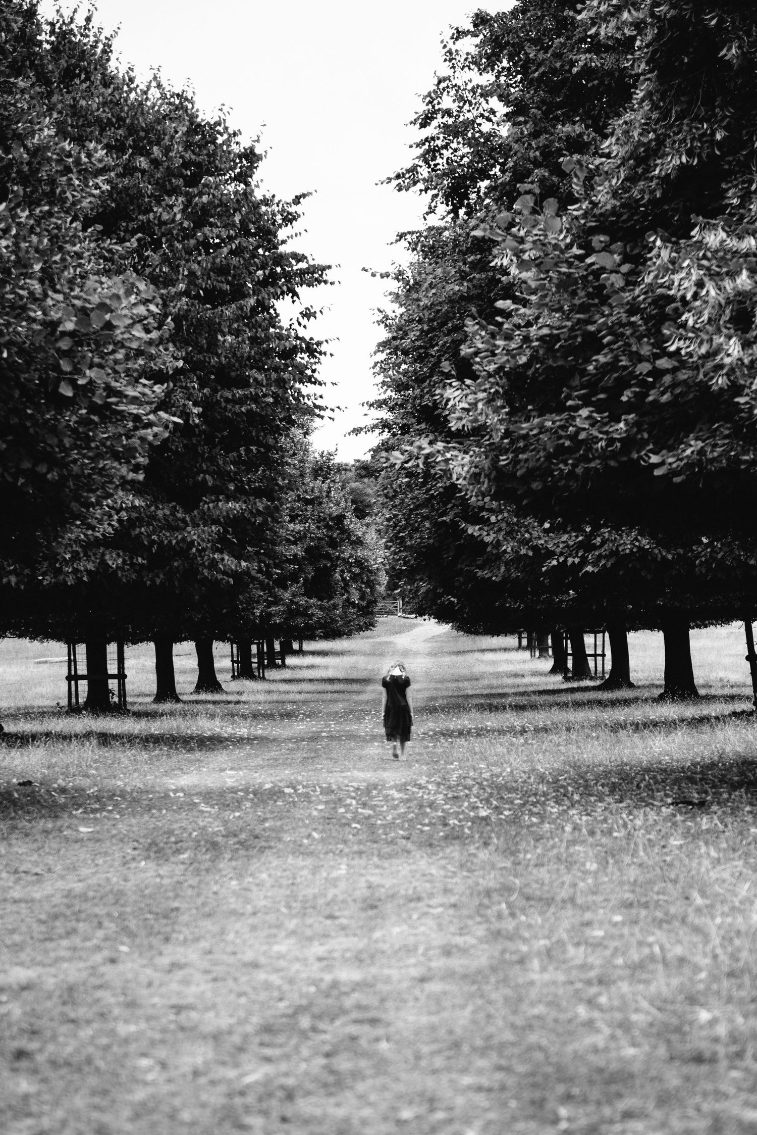 The Long Walk