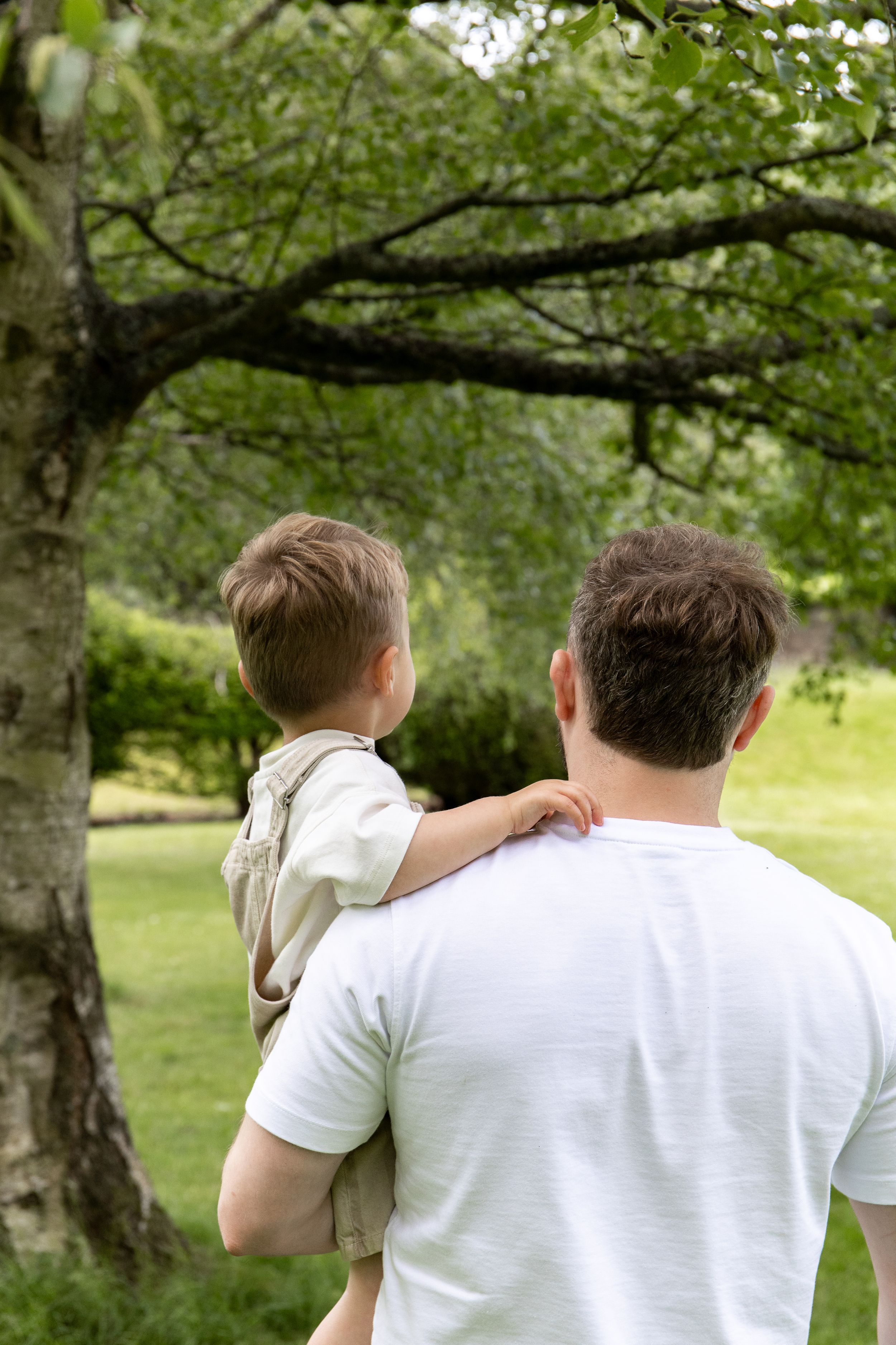A father holds his young son while looking up at a large tree in a lush green park Outdoor natural family photoshoot Nottingham