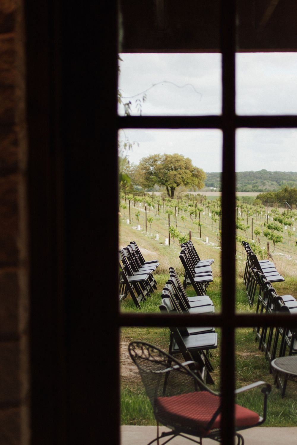 View through window of outdoor vineyard wedding ceremony chairs set up among green vines and trees.