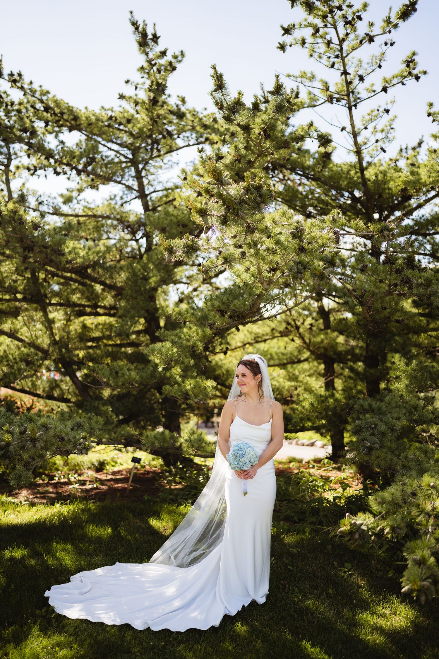 Bride in white gown with long veil holds teal bouquet, standing on green lawn surrounded by pine trees.