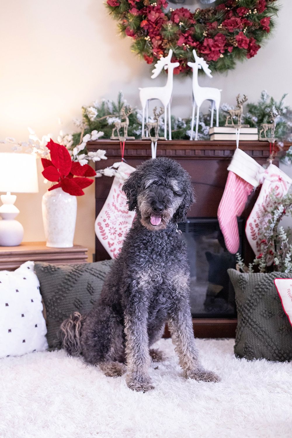 A fluffy gray dog sits on a white rug in front of a festively decorated fireplace with Christmas stockings and a wreath.
