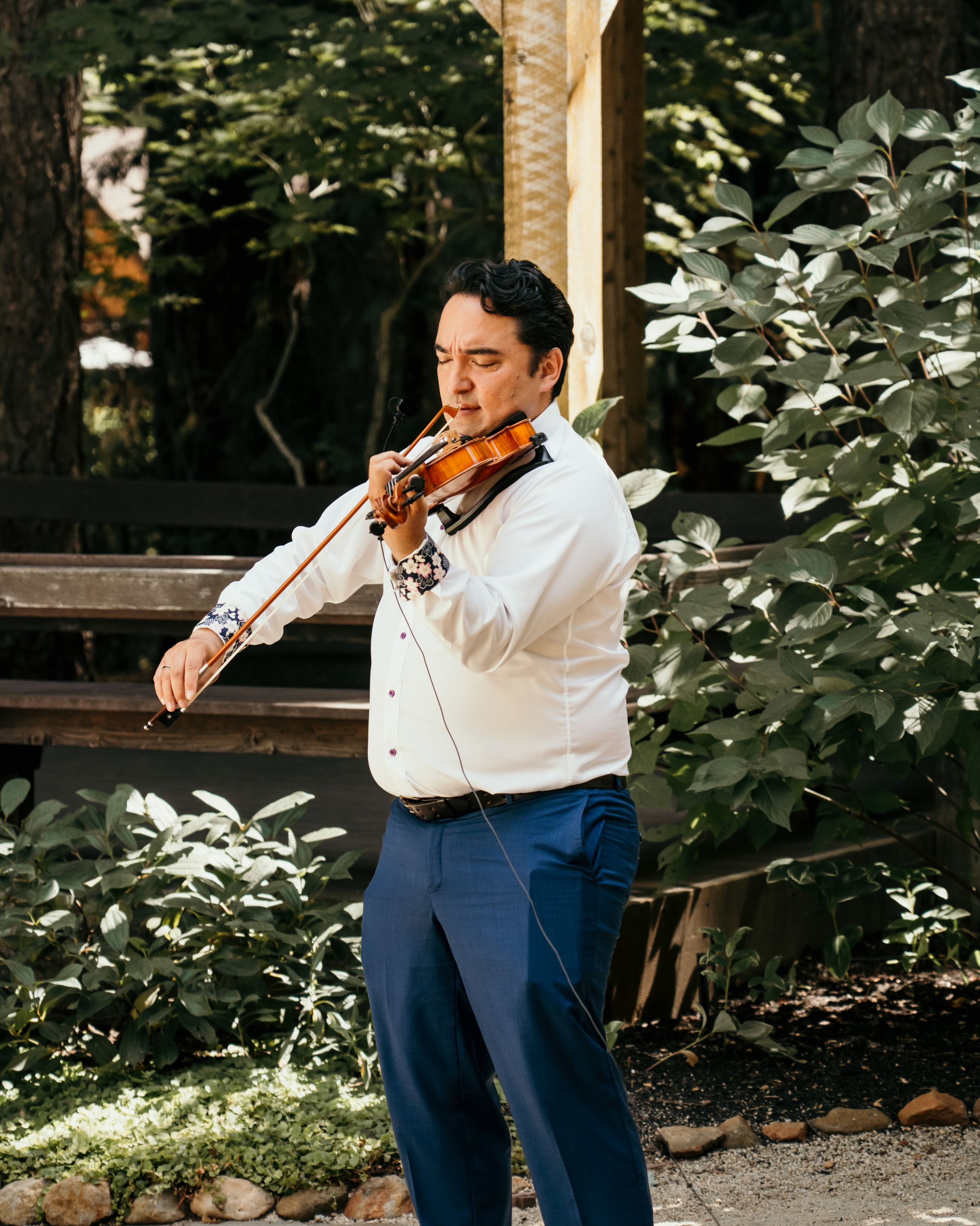 A musician plays violin outdoors in formal attire surrounded by greenery and natural lighting.
