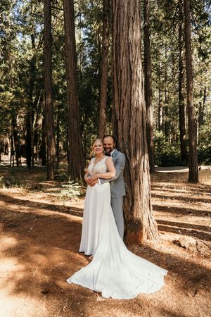 Romantic wedding photos captured in serene redwood forest setting.