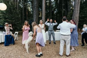 Wedding guests gathered in a forest setting for an outdoor celebration with tables and decorations.