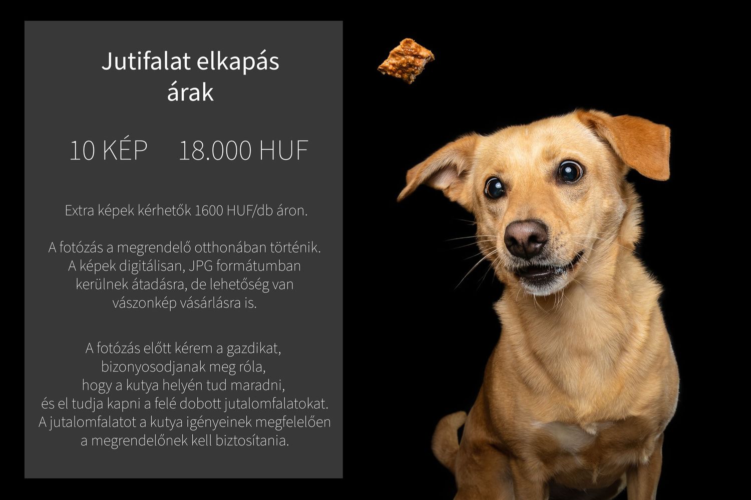 #fotós #fotózás #tiszavasvári #mnpvisions