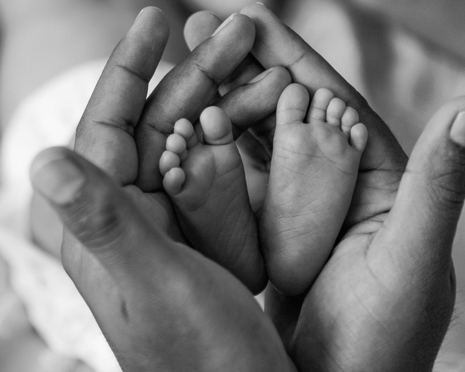 Black and white close-up of a newborn baby’s tiny feet cradled in adult hands