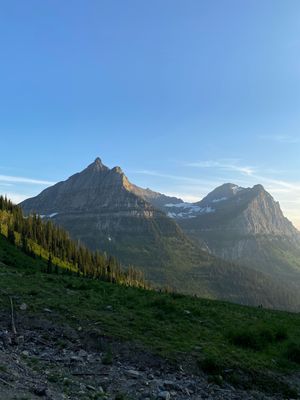 Majestic mountain peaks with green alpine meadows and evergreen trees under a clear blue sky at golden hour.