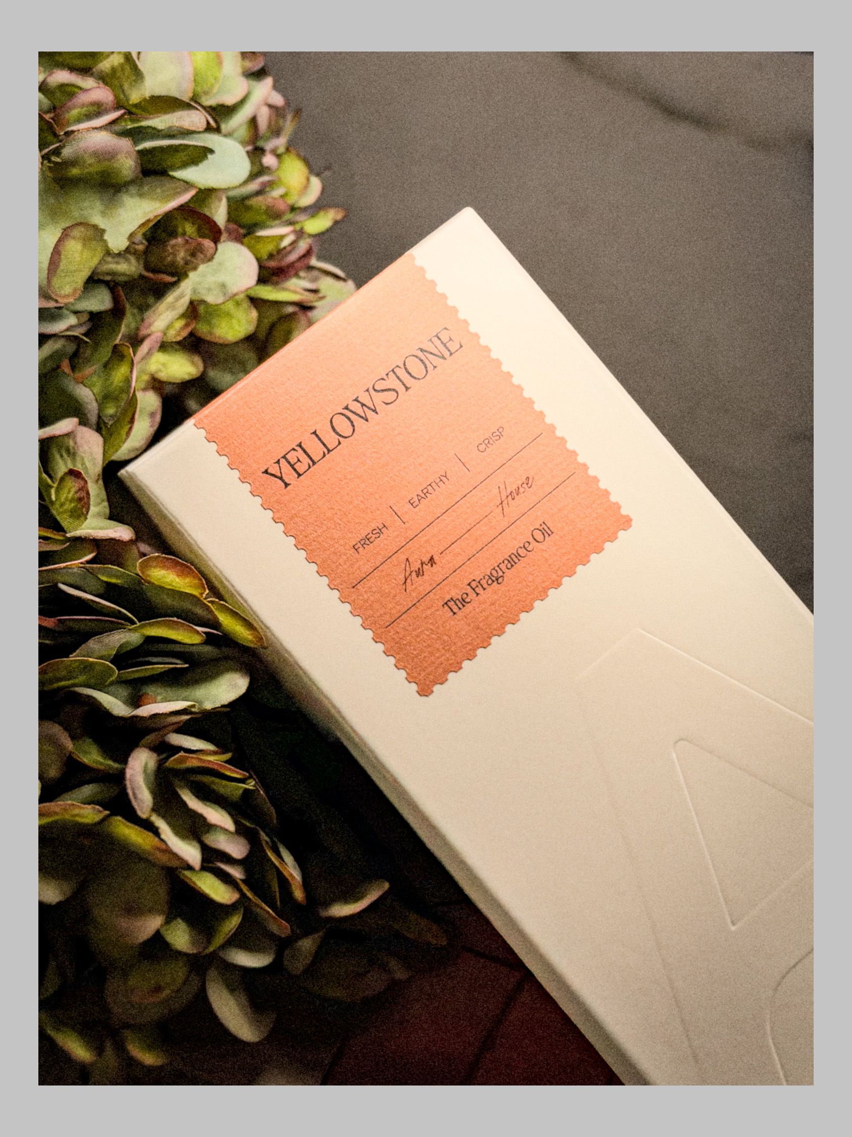 Yellowstone fragrance oil box with copper label resting among green botanical foliage.