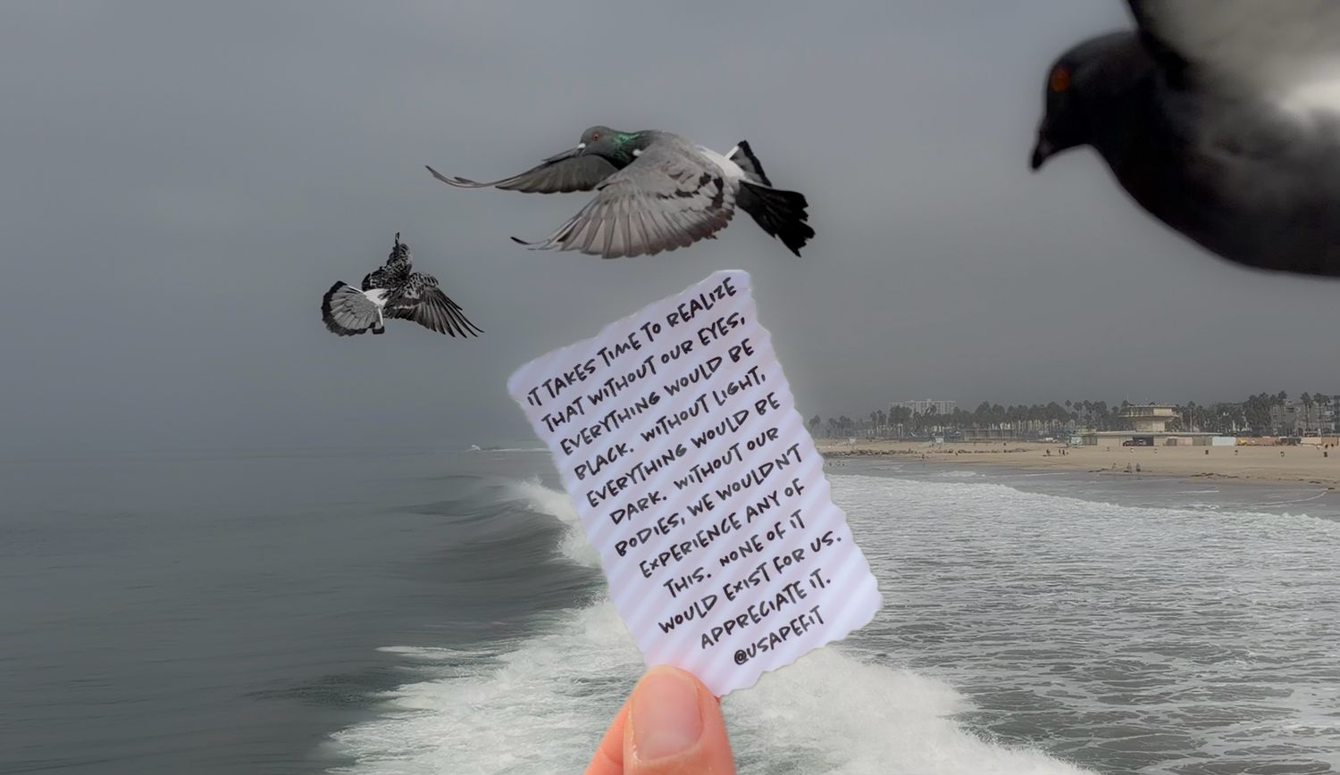 Hand holding a note near seagulls flying over a beach with ocean waves and cloudy skies in the background.