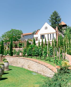 Elegant white wedding venue with vineyard, cypress trees, and stone retaining wall on sunny day.