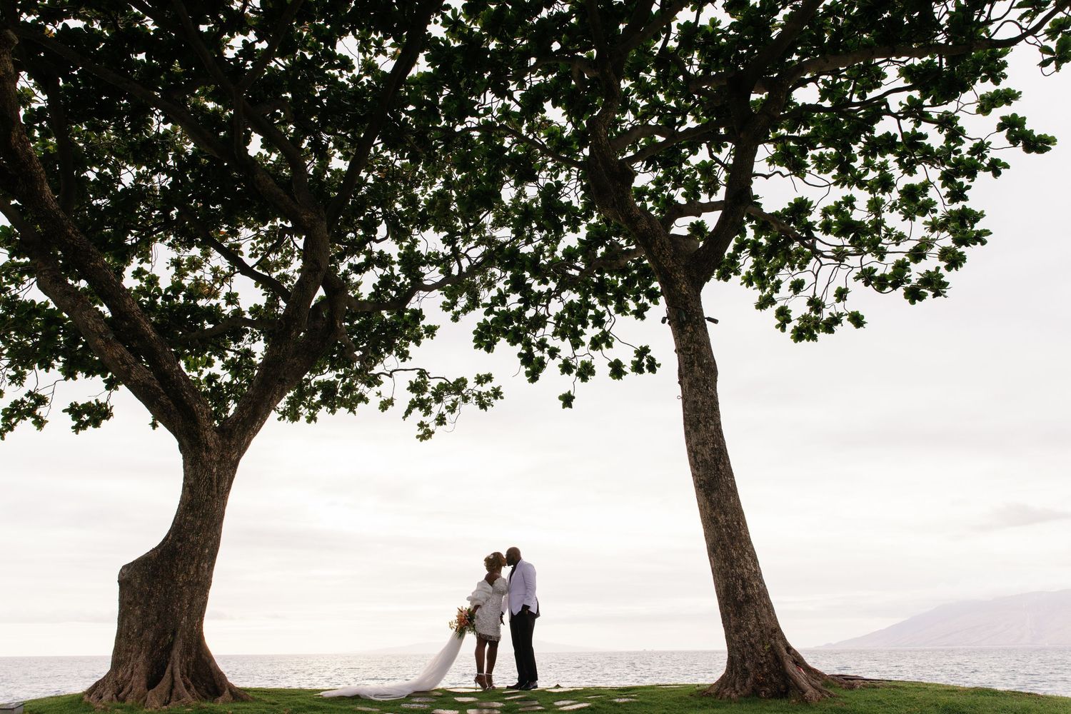 Couple sharing a romantic kiss between two large trees overlooking the ocean on their wedding day.