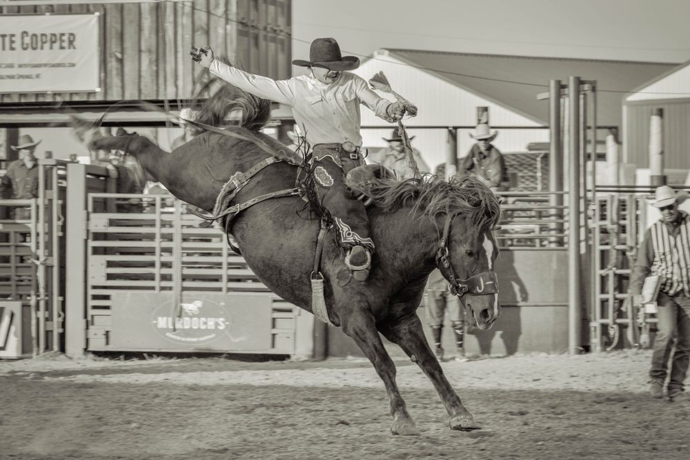 Black and white photo of a cowboy riding a bucking black horse at a rodeo competition.
