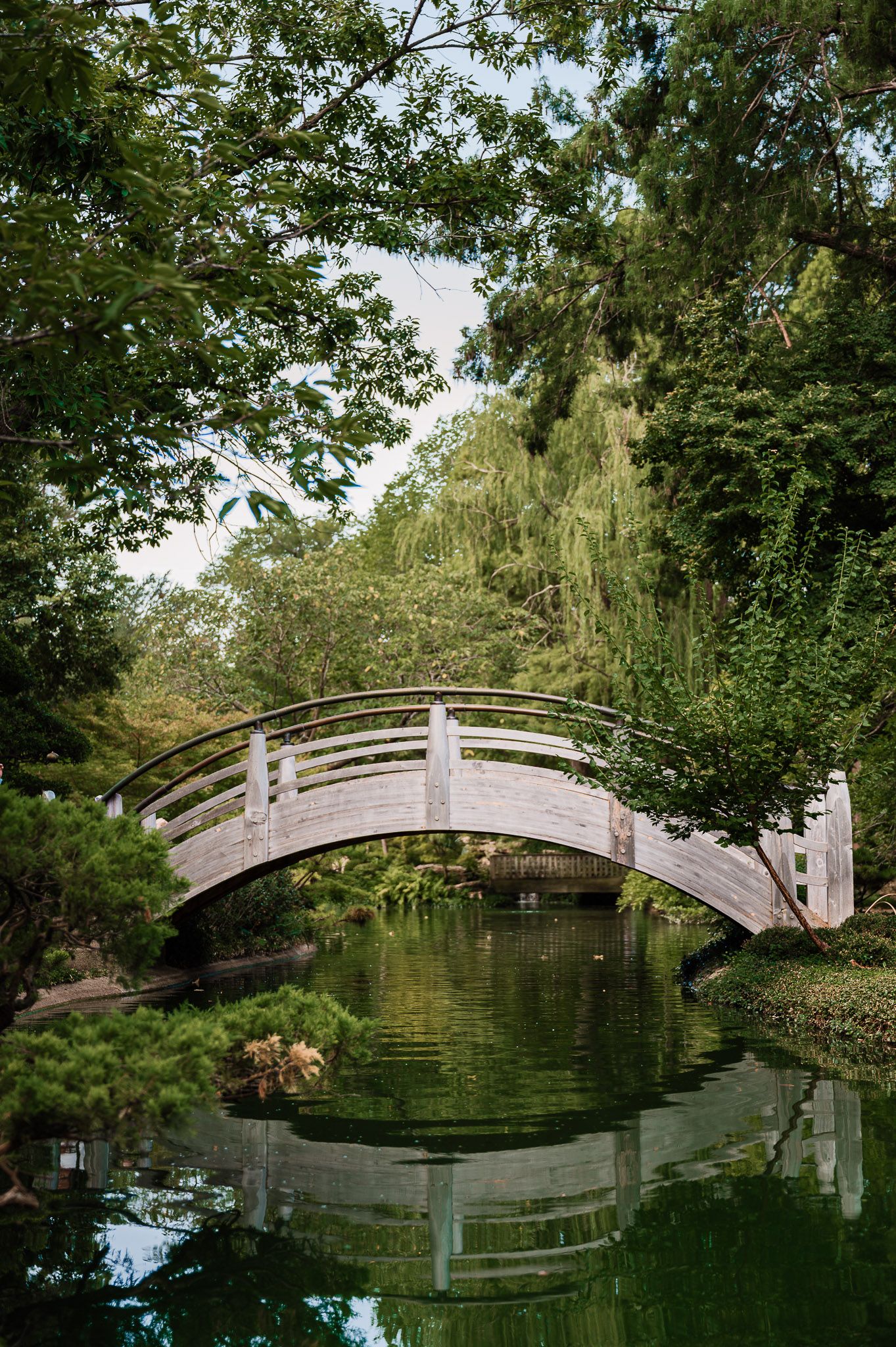 Fort Worth and DFW wedding, engagement, proposal, senior, and graduation photography by Alexandra Hartman Photography, capturing romantic an