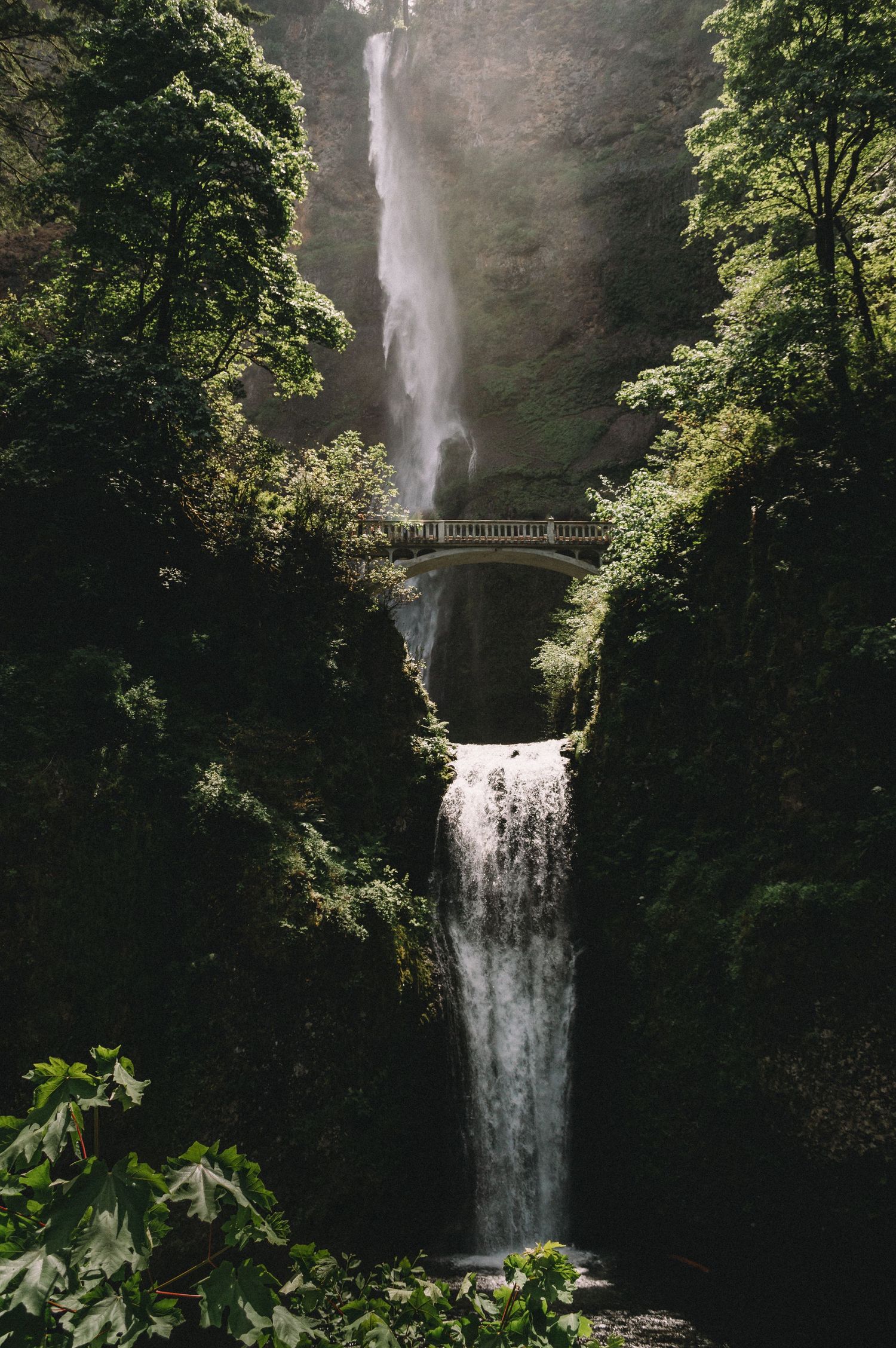 Multnomah Falls in Oregon