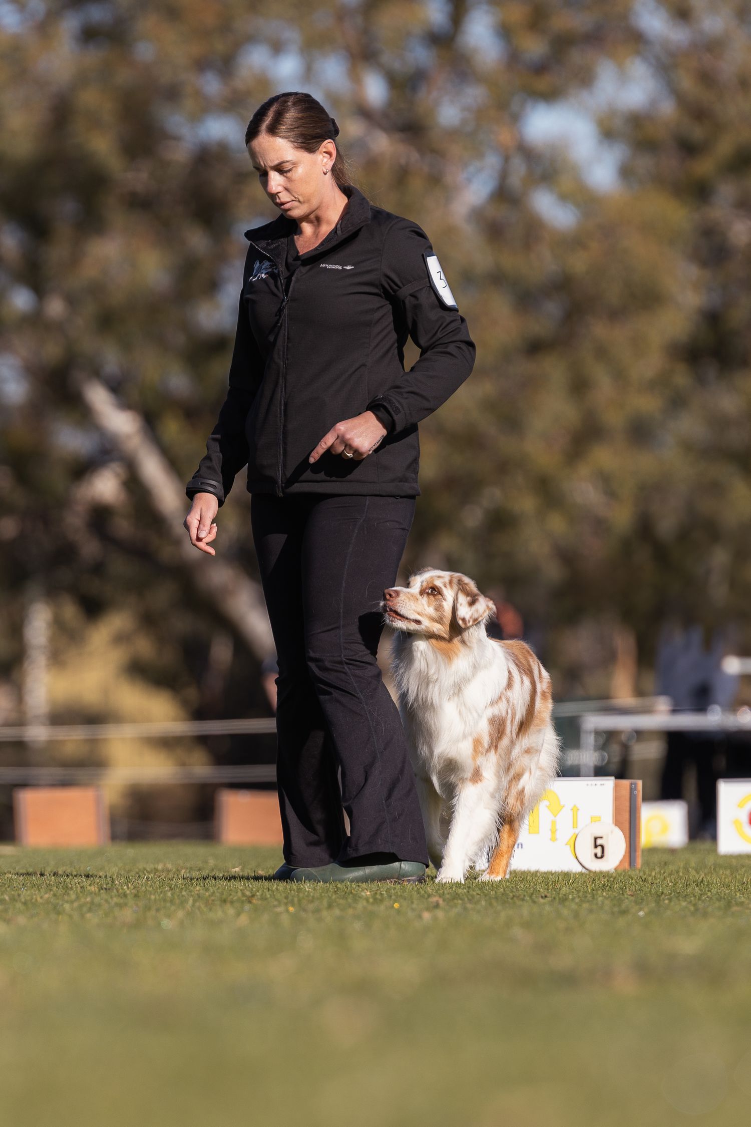 Woman in black outfit walking with an Australian Shepherd dog on green grass at an outdoor dog show.