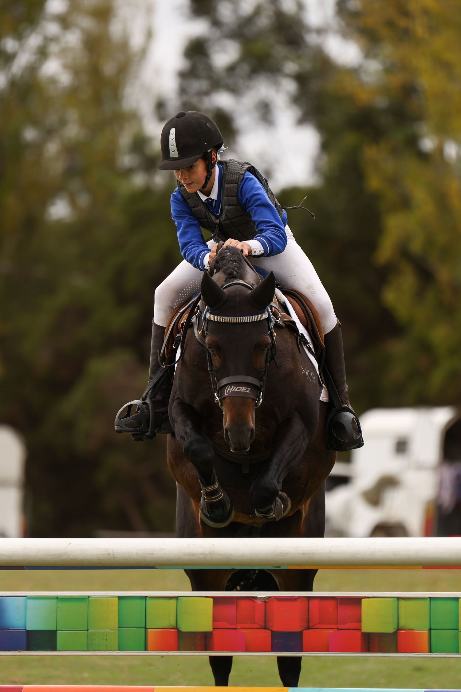 Female rider in blue jacket jumping a dark horse over a colorful fence at an equestrian event.
