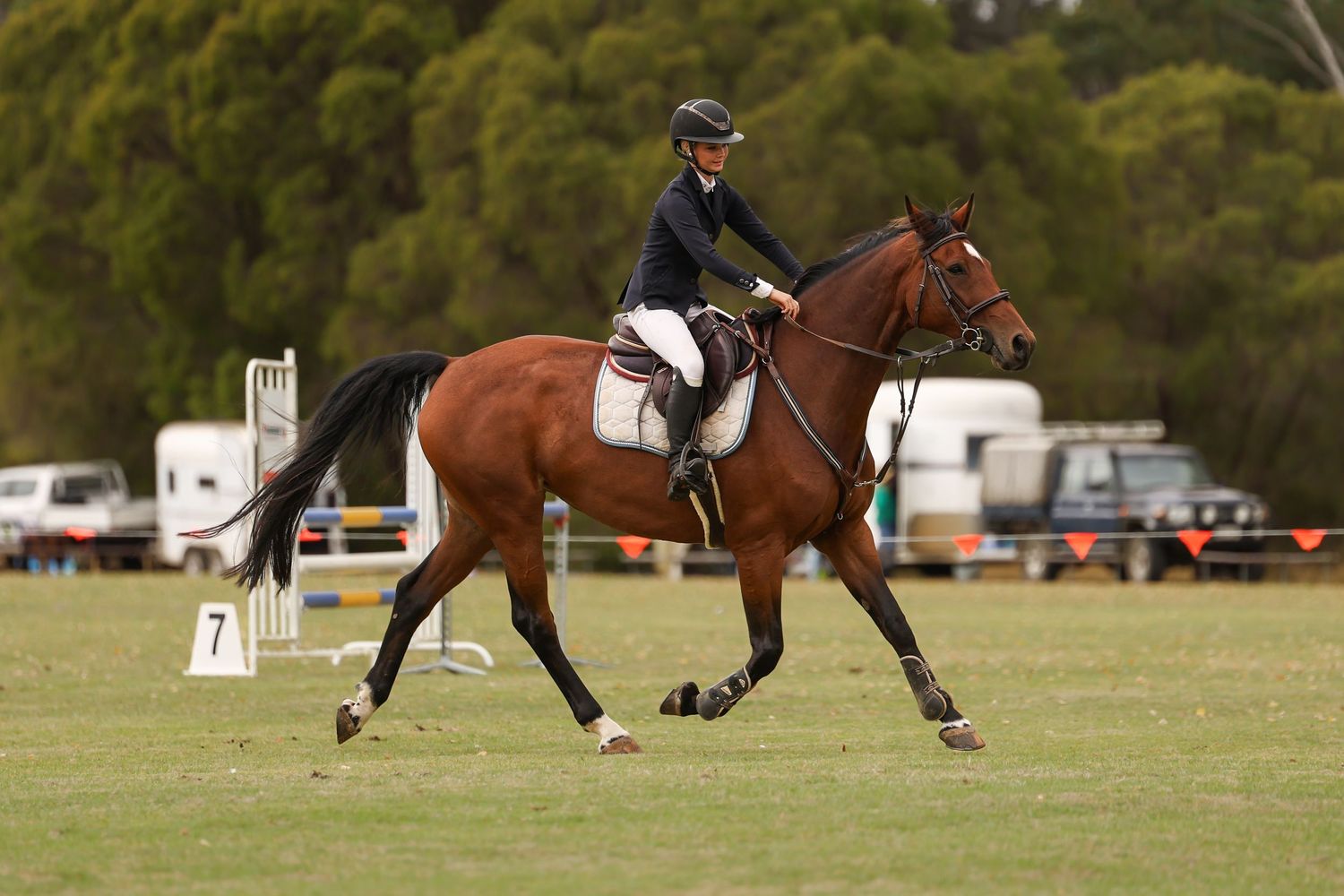 Equestrian rider in black helmet on chestnut horse competing in show jumping event on green grass field.