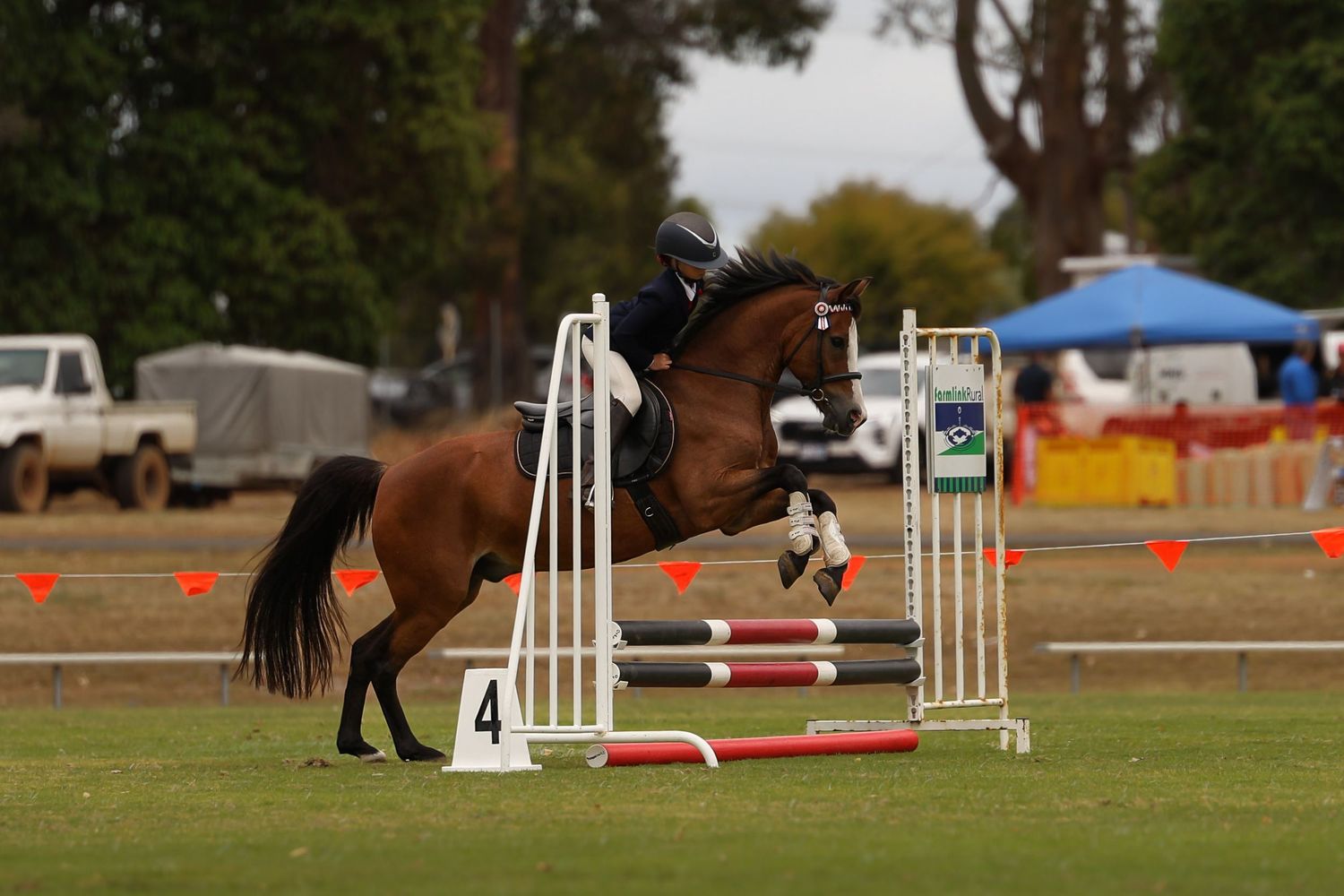 A bay horse and rider jumping over colorful show jumping poles at an equestrian competition outdoors.