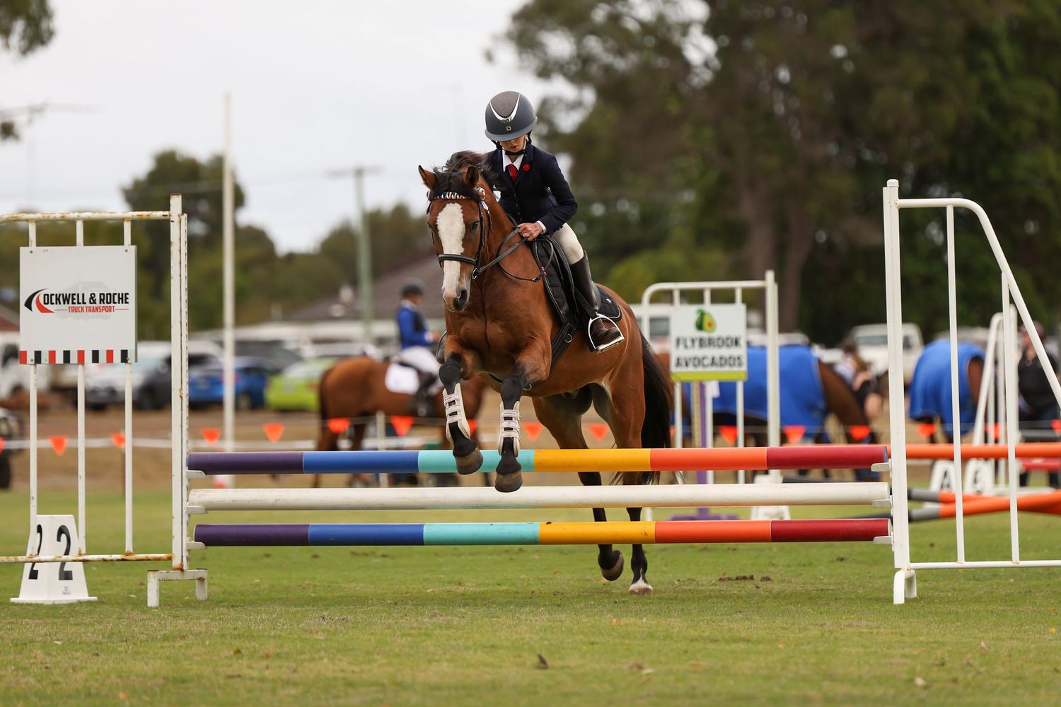 Equestrian rider on chestnut horse jumping over colorful poles at outdoor show jumping competition.