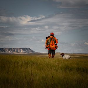 Hunter in orange vest walks with a white dog through green prairie grass beneath a cloudy sky near mesa formations.