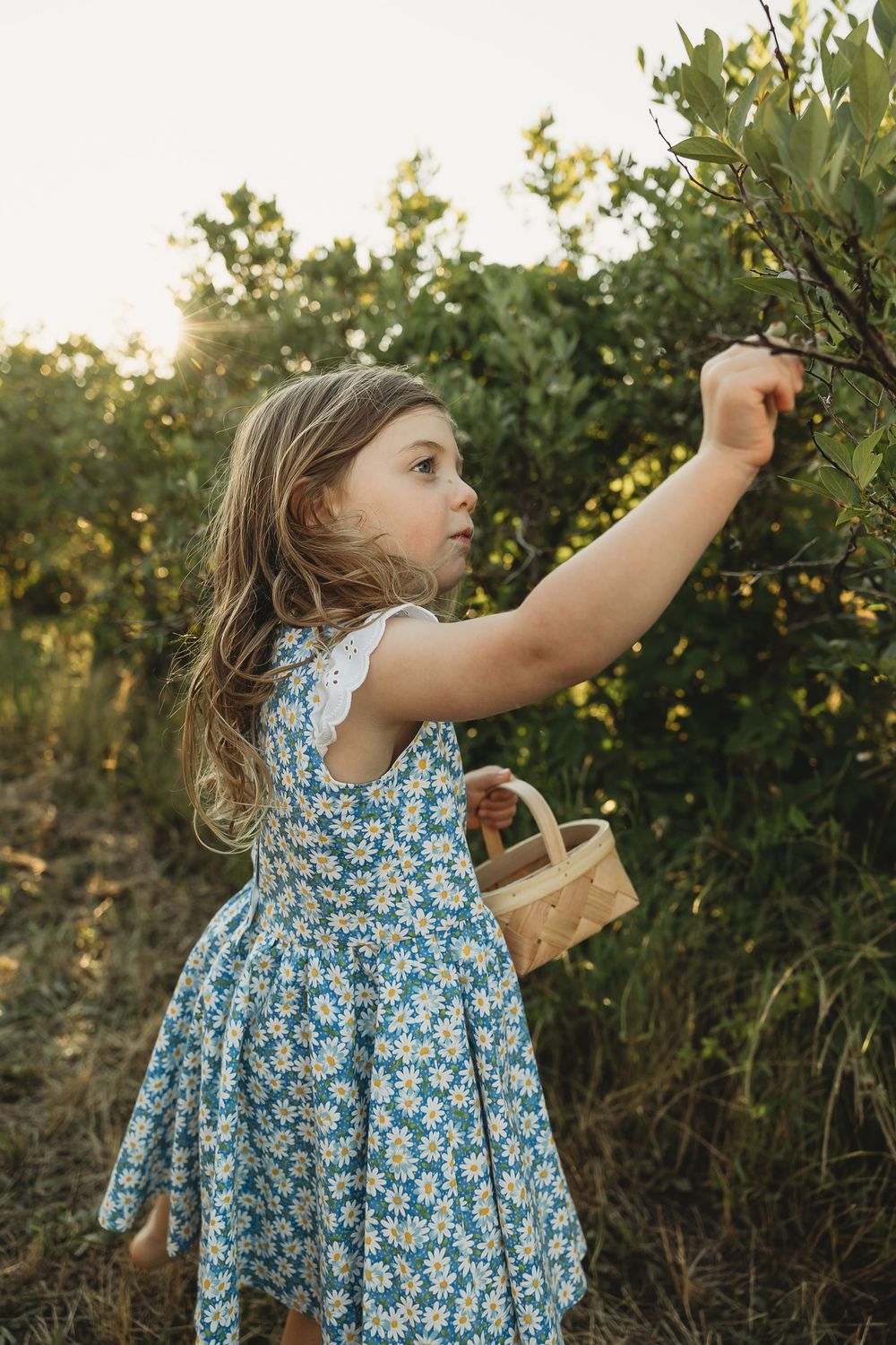 Young girl in floral dress picking berries from bush while holding a wicker basket outdoors at golden hour.