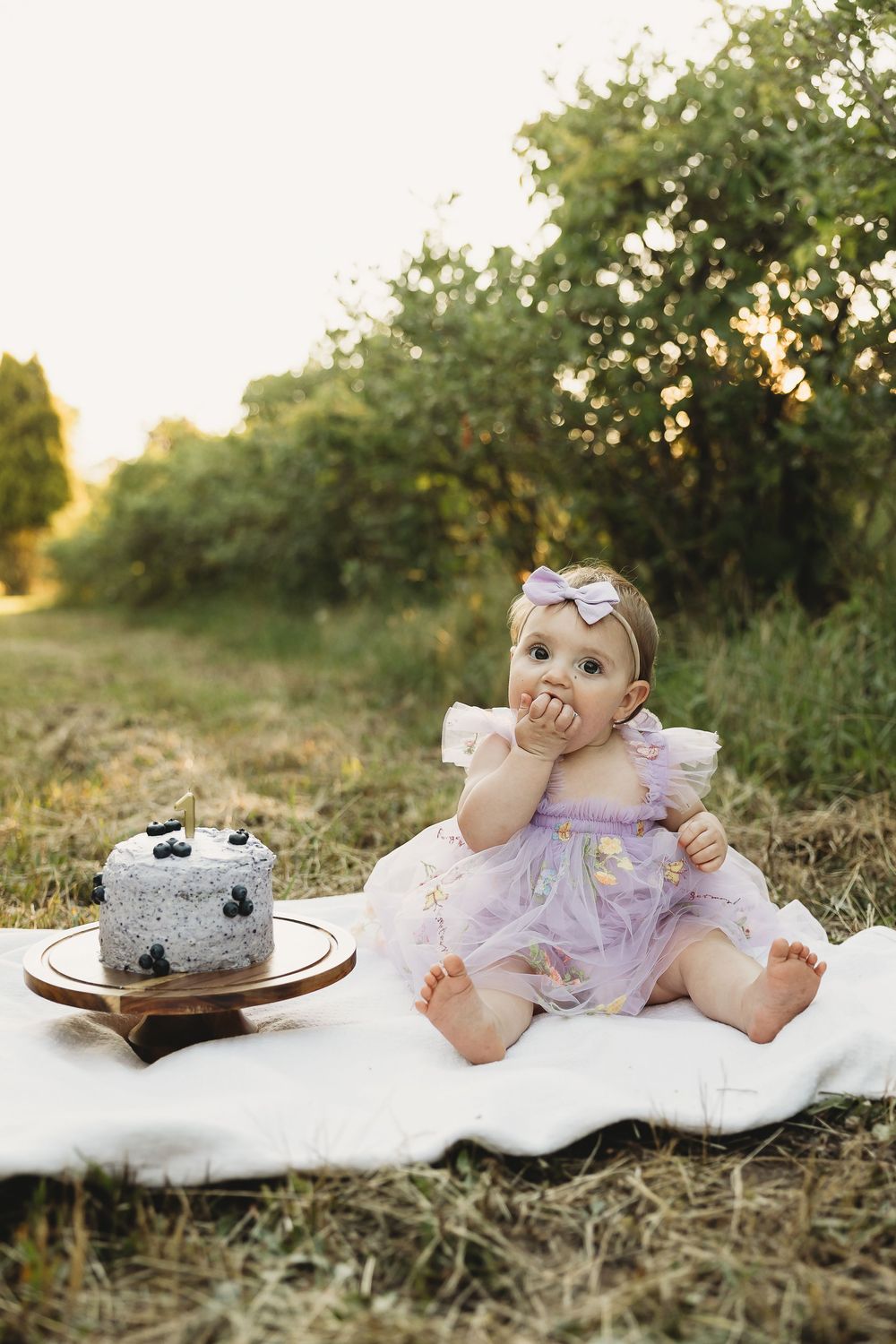 Baby girl in purple tulle dress sits on blanket outdoors beside blueberry cake, celebrating first birthday at sunset.