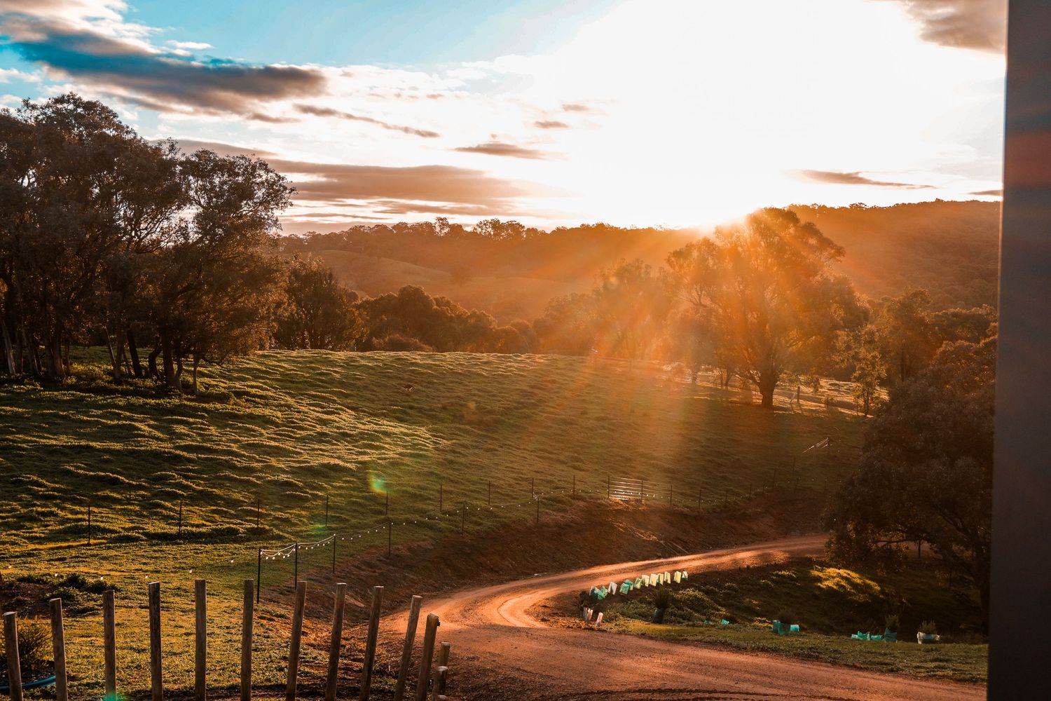 Golden sunset rays burst over a winding dirt road through a scenic rural Australian landscape.