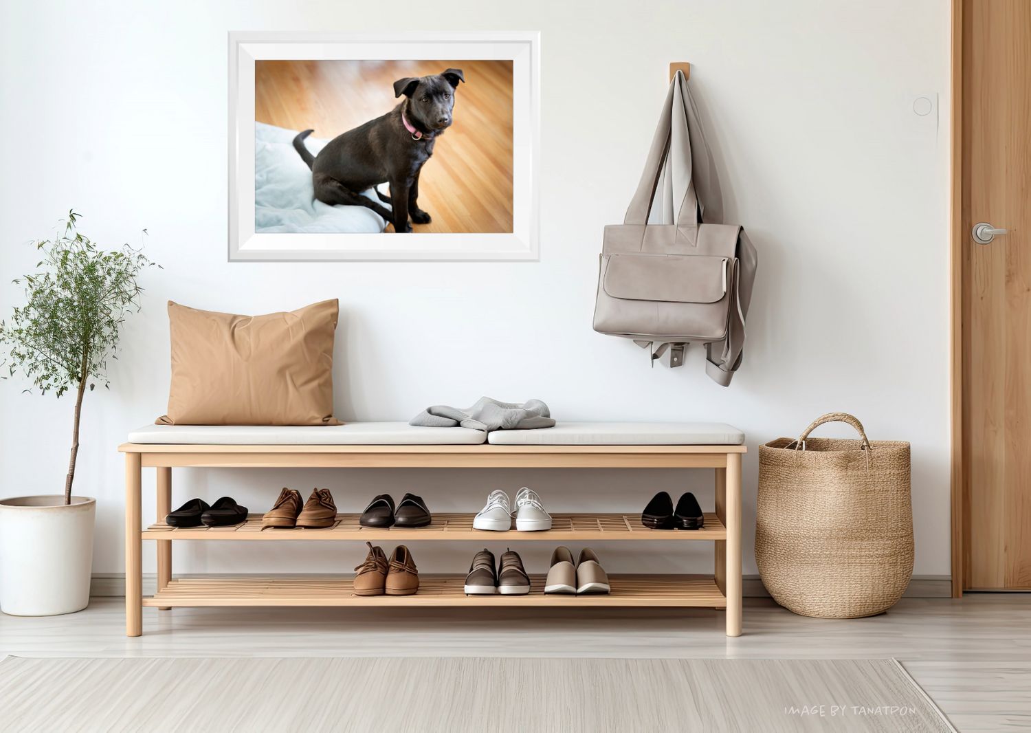 A minimalist entryway with a wooden bench, shoes, cushions, a woven basket, potted plant, and a framed dog portrait on the wall.