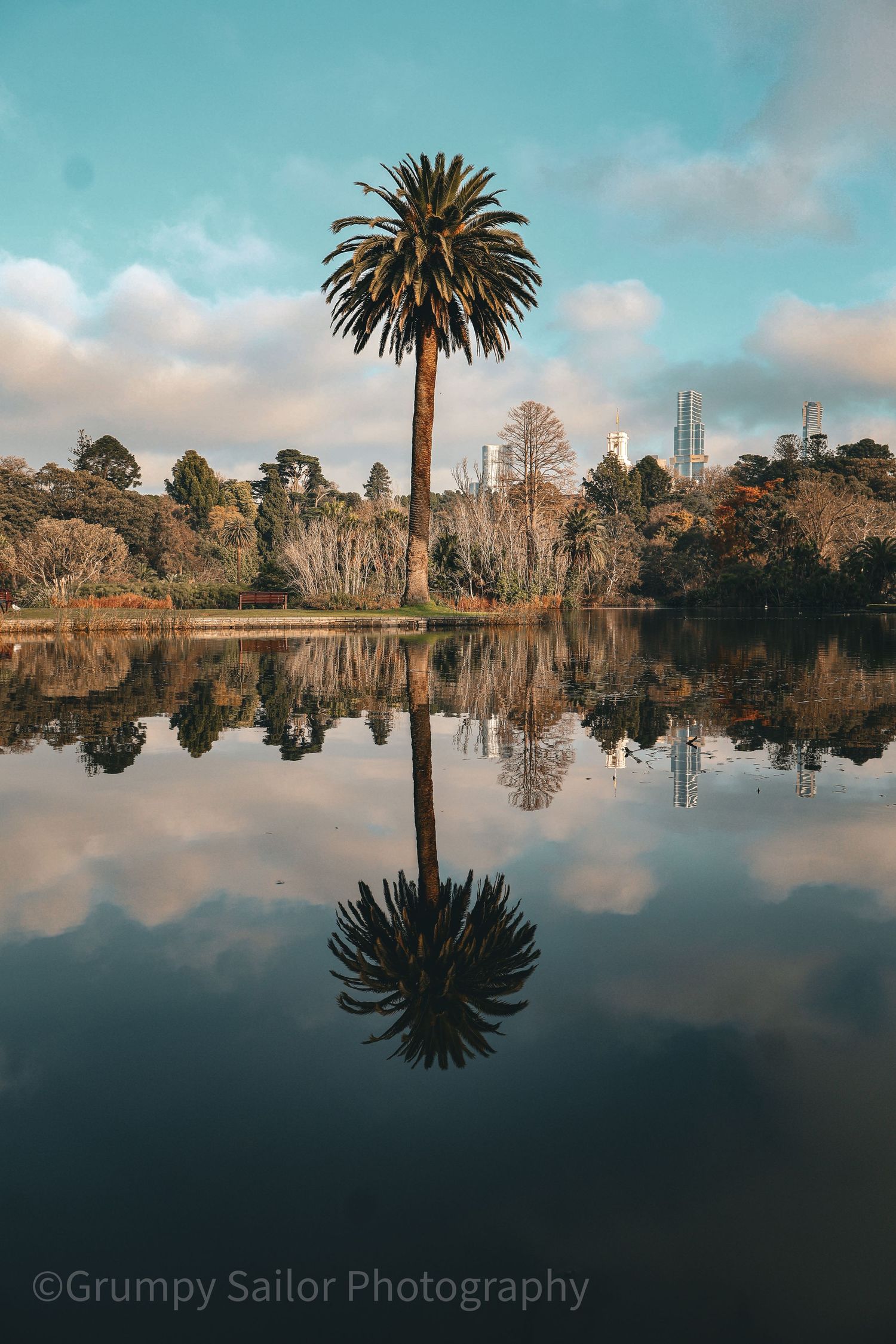 Lone palm tree perfectly reflected in still lake waters with Melbourne skyline backdrop.