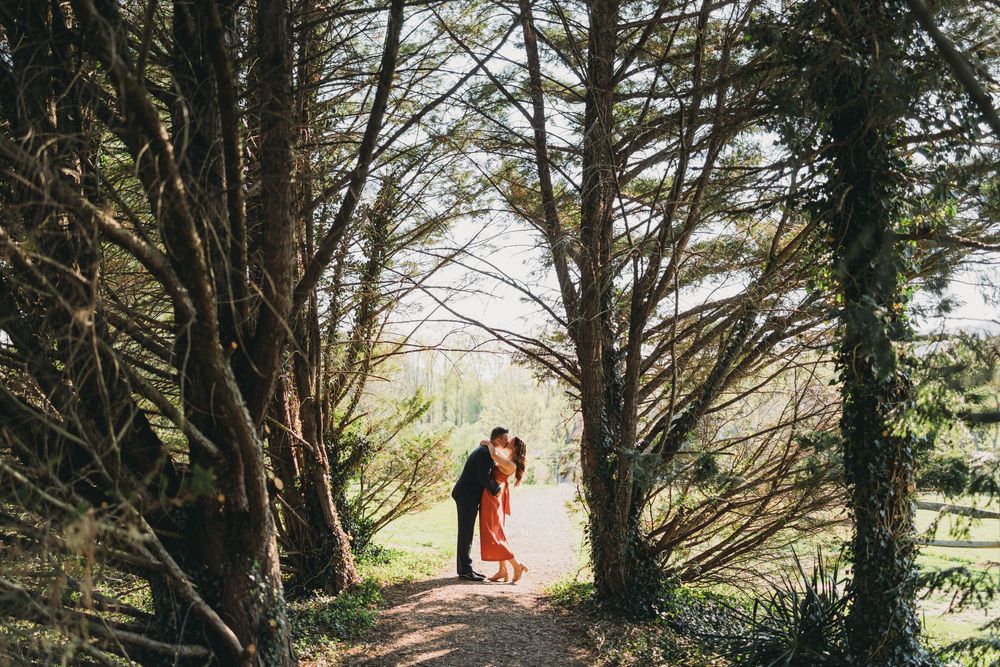 Couple sharing a romantic kiss on a forest path surrounded by tall twisted trees in a lush green woodland setting.