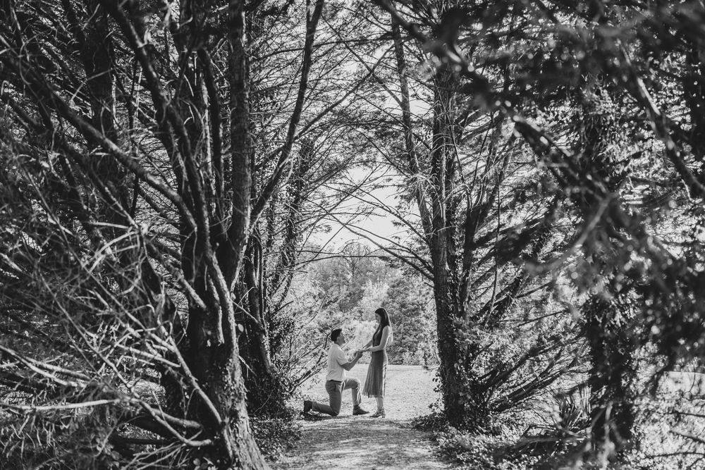 Black and white photo of a man on one knee proposing to a woman on a forest path surrounded by trees.