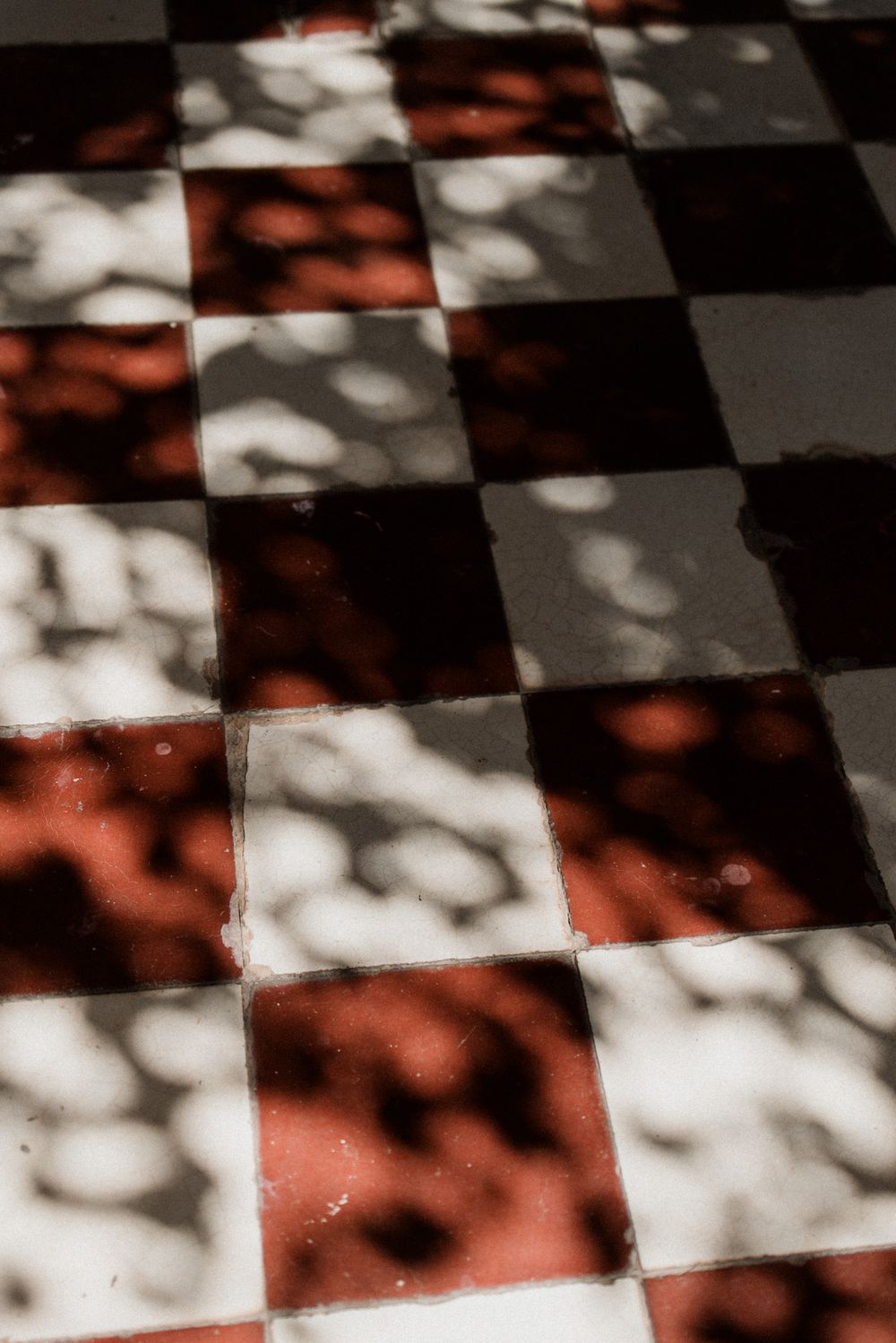 Red and white checkered floor tiles with dappled sunlight and leaf shadows creating a moody, artistic pattern.